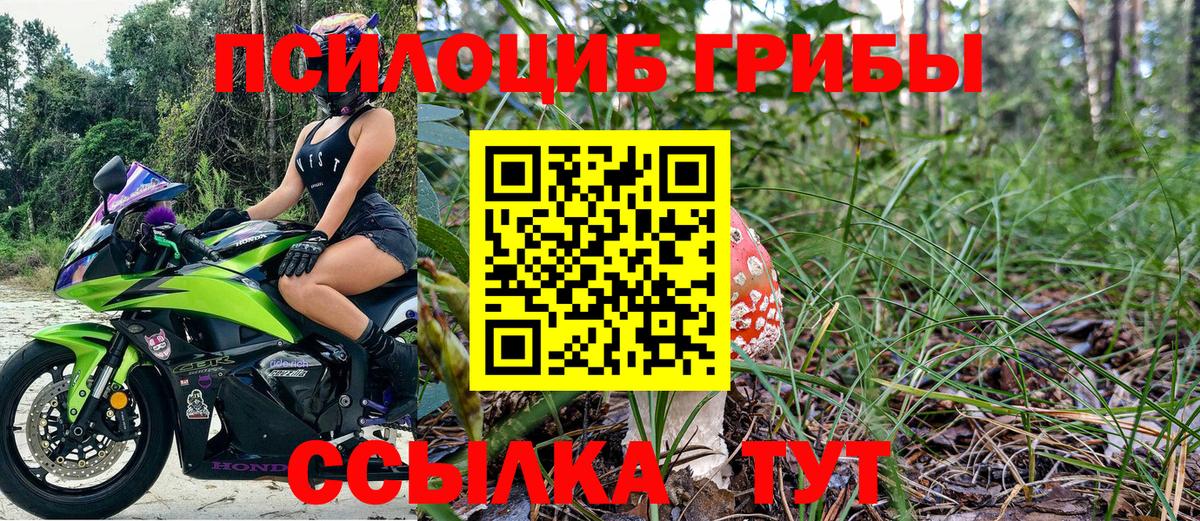 Галлюциногенные грибы мухоморы Карабулак
